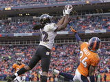 NFL Playoffs 2013: Ravens vs Broncos - Torrey Smith
