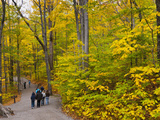Franconia Notch State Park  New Hampshire  New England  United States of America  North America