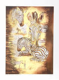 Zebra Motherhood Study