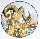 Big Horns