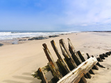 Shipwreck Remains  Skeleton Coast  Namib Desert  Namibia  Africa