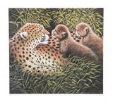 Cheetah Love