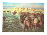 Cheyenne Buffalo Runners
