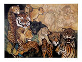 Big Cat Compositions