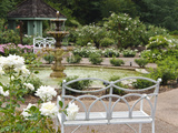 Harry P Leu Gardens  Orlando  Florida  United States of America  North America