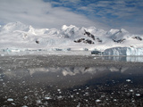 Neko Harbor  Antarctica  Polar Regions