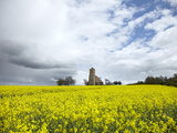 St Andrew's Church  Wood Walton  Cambridgeshire  England  United Kingdom  Europe