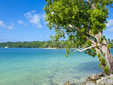 View across the Bay to Oyster Island  Island of Espiritu Santo  Vanuatu  South Pacific  Pacific