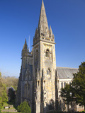 Llandaff Cathedral  Llandaff  Cardiff  Wales  United Kingdom  Europe