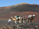 Dromedary Ride on Timanfaya Mountain  Timanfaya Nat'l Park  Lanzarote  Canary Islands  Spain