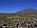 Southwest Highlands  Bolivia  South America