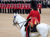 Soldiers at Trooping Colour 2012  Queen's Official Birthday Parade  Horse Guards  London  England