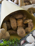 Ceps Mushrooms (Boletus Edulis) in a Bag and in a Wooden Box  Italy  Europe