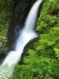 Waterfall  Glendalough  County Wicklow  Leinster  Republic of Ireland  Europe