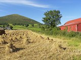 Oat Stooks  Knockshee  Mourne Mountains  County Down  Ulster  Northern Ireland  UK  Europe