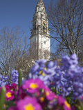 City Hall in Civic Centre  Cardiff  Wales  United Kingdom  Europe