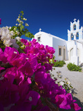 Greek Church and Flowers  Santorini  Cyclades  Greek Islands  Greece  Europe