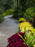 Harry P Leu Gardens  Orlando  Florida  United States of America  North America