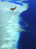 Aerial View  Maldives  Indian Ocean  Asia