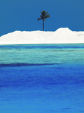 Sandbank and Palm Tree on Tropical Beach  Maldives  Indian Ocean  Asia