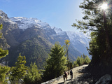 Marsyangdi River Valley  Annapurna Conservation Area  Gandaki  Nepal