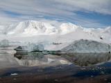 Neko Harbor  Antarctica  Polar Regions