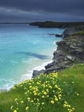 Mother Ivey's Bay  Padstow  Cornwall  England  United Kingdom  Europe