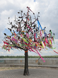 Wish Tree  Kiev  Ukraine  Europe