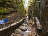 Franconia Notch State Park  New Hampshire  New England  United States of America  North America