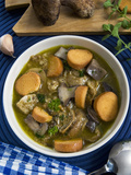 Mushroom Soup (Boletus Edulis)  Italy  Europe