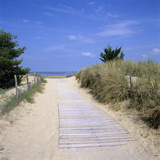 Beach on the West Coast  Ile de Re  Poitou-Charentes  France  Europe