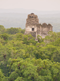 Tikal National Park (Parque Nacional Tikal)  UNESCO World Heritage Site  Guatemala  Central America