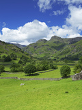 Langdale Pikes  Lake District National Park  Cumbria  England  United Kingdom  Europe