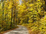 Baxter State Park  Maine  New England  United States of America  North America