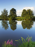 River Exe Near Brampford Speke  Devon  England  United Kingdom  Europe