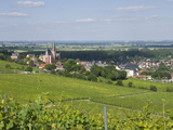 View East over Rhine Valley and St Katherine's Church  Oppenheim  Rhineland Palatinate  Germany
