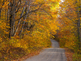 Fall Colours  Baxter State Park  Maine  New England  United States of America  North America