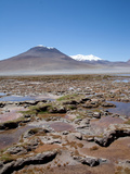 Salar Uyuni Salt Flats  Eduardo Avaroa National Park  Bolivia  South America