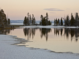 Evergreens Along Yellowstone Lake  Yellowstone Nat'l Park  UNESCO World Heritage Site  Wyoming  USA