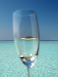 Glass and Tropical Island  Maldives  Indian Ocean  Asia