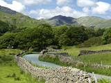 Coniston Fells  Torver  Lake District National Park  Cumbria  England  United Kingdom  Europe
