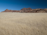 Huab River Valley  Torra Conservancy  Damaraland  Namibia  Africa