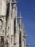 Gargoyles on Notre Dame Cathedral  Paris  France  Europe