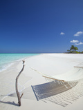 Hammock on Tropical Beach  Maldives  Indian Ocean  Asia