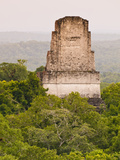 Tikal National Park (Parque Nacional Tikal)  UNESCO World Heritage Site  Guatemala  Central America