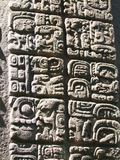 Mayan Stela at Quirigua Archaeological Park  UNESCO World Heritage Site  Guatemala  Central America
