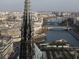 View from Notre Dame Cathedral Roof  Paris  France  Europe