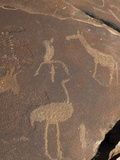 Rock Engravings  Huab River Valley  Torra Conservancy  Damaraland  Namibia  Africa