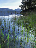 Derwent Water  Lake District National Park  Cumbria  England  United Kingdom  Europe