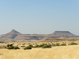 Palmwag Concession  Damaraland  Namibia  Africa